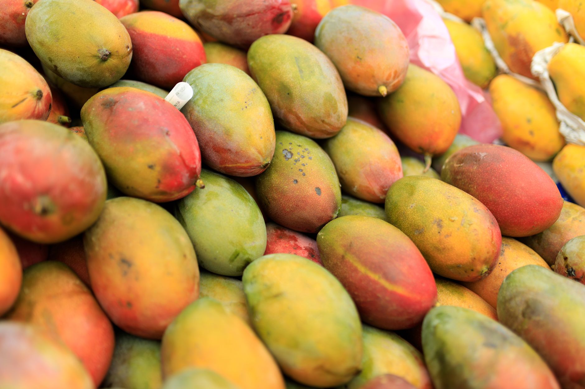 Colourful exotic fruit including dragon fruit and mango